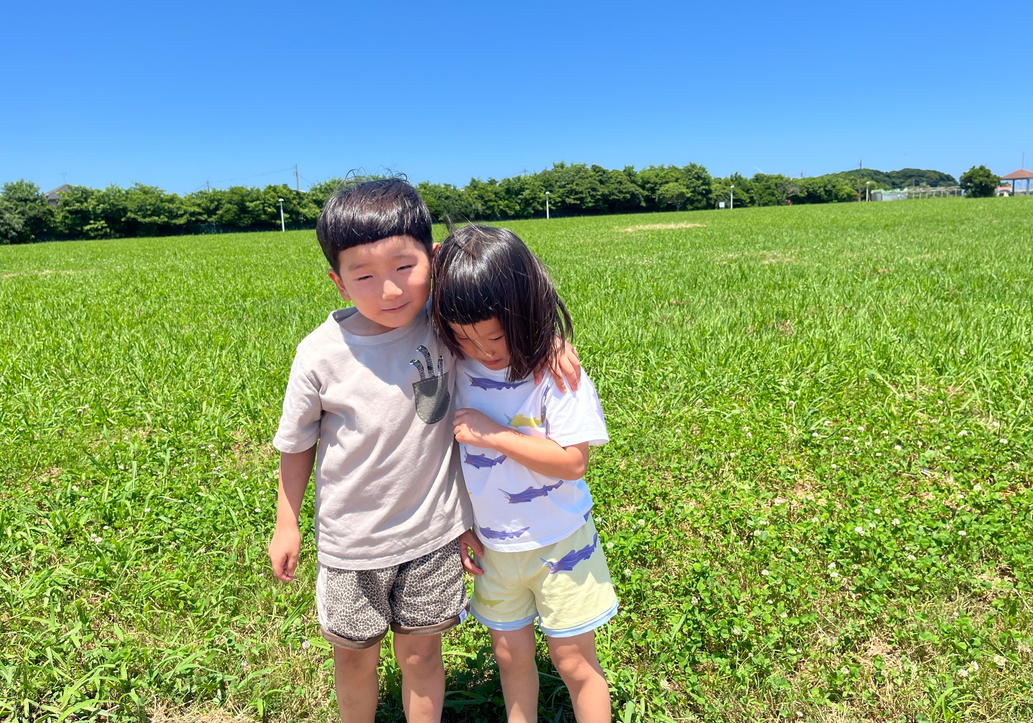 新作コレクション