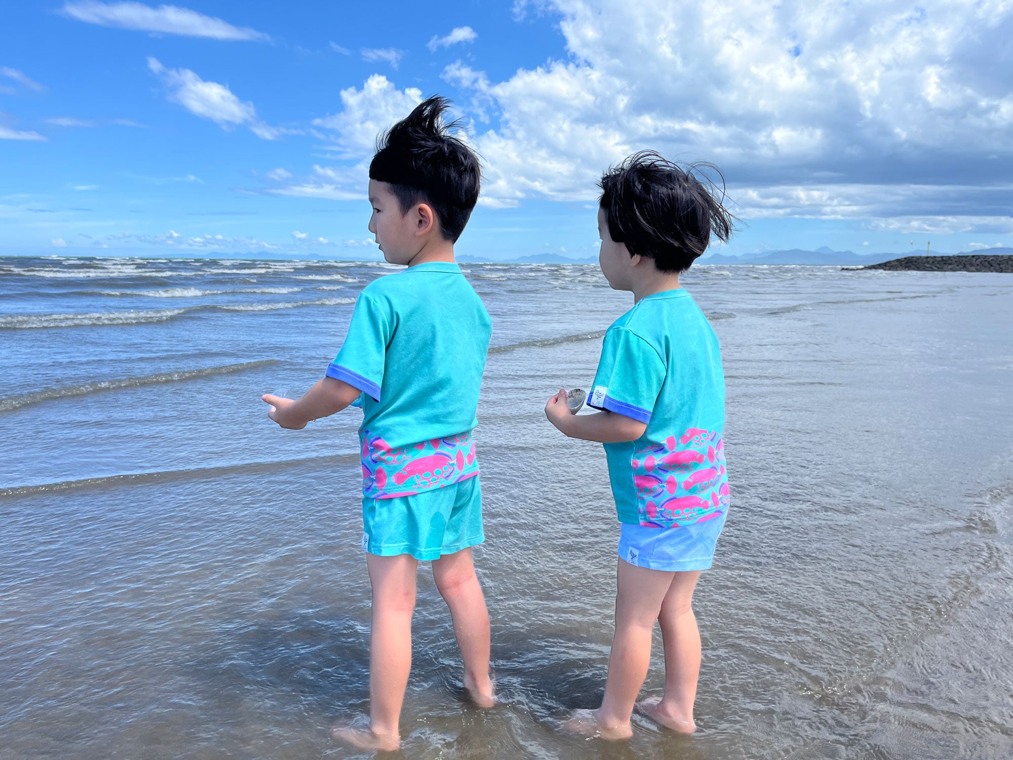 海の生きものと、出会う