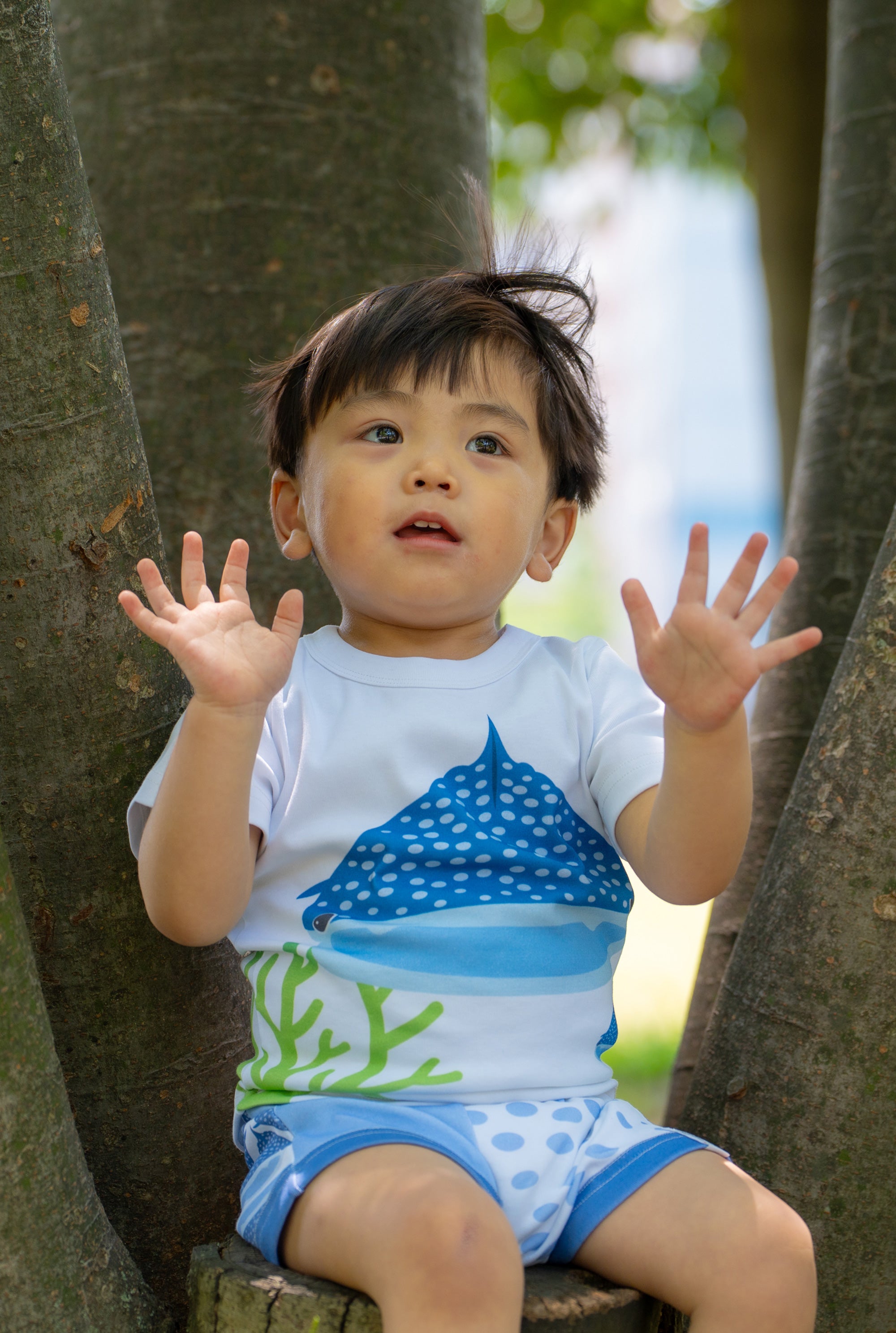海の豊かさを、いまここに
